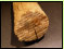 Insgesamt 18 'Holzspitzen', mit Sgespuren am Ende, wurden anlsslich der Bergung eines Mnzschatzes aus der ersten Hlfte des 14. Jh. gefunden. Es handelt sich um aus einem Stamm ausgewitterte ste, die stammnah abgeschnitten wurden. Dies scheint ein Hin