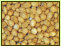 Kirschensteine von Sss- und wenig Sauerkirschen. Fund aus einem Holzbottich von Cham aus dem 18. Jh.
