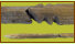 Eines der Holzobjekte unbestimmter Verwendungszweck. Detail: an der Verzierung gebrochen, Fichtenholz