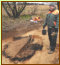 Holzkohlen im Sediment auf der Grabung
