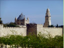 Holzbestimmung in Israel: 'Church of the Dormition in Jerusalem', 10.04.2013