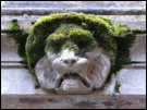 Ein bemooster Lwenkopf an der Villa San Martino auf der Insel Elba