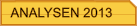 ANALYSEN 2013