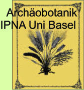 Archobotanik IPNA Uni Basel